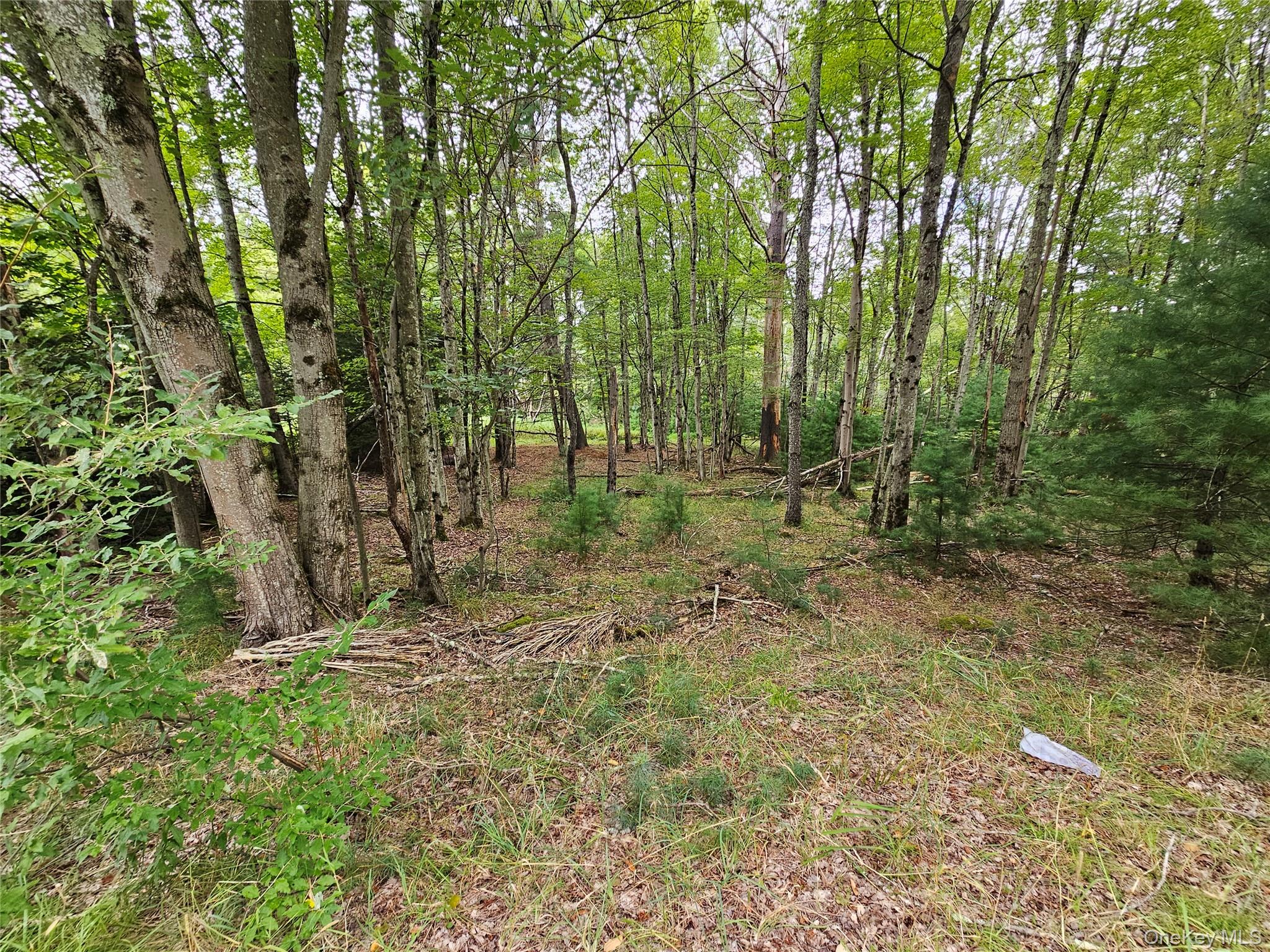 #8 photo, Flower Ave. & State Route 55, Kauneonga Lake , NY 12720