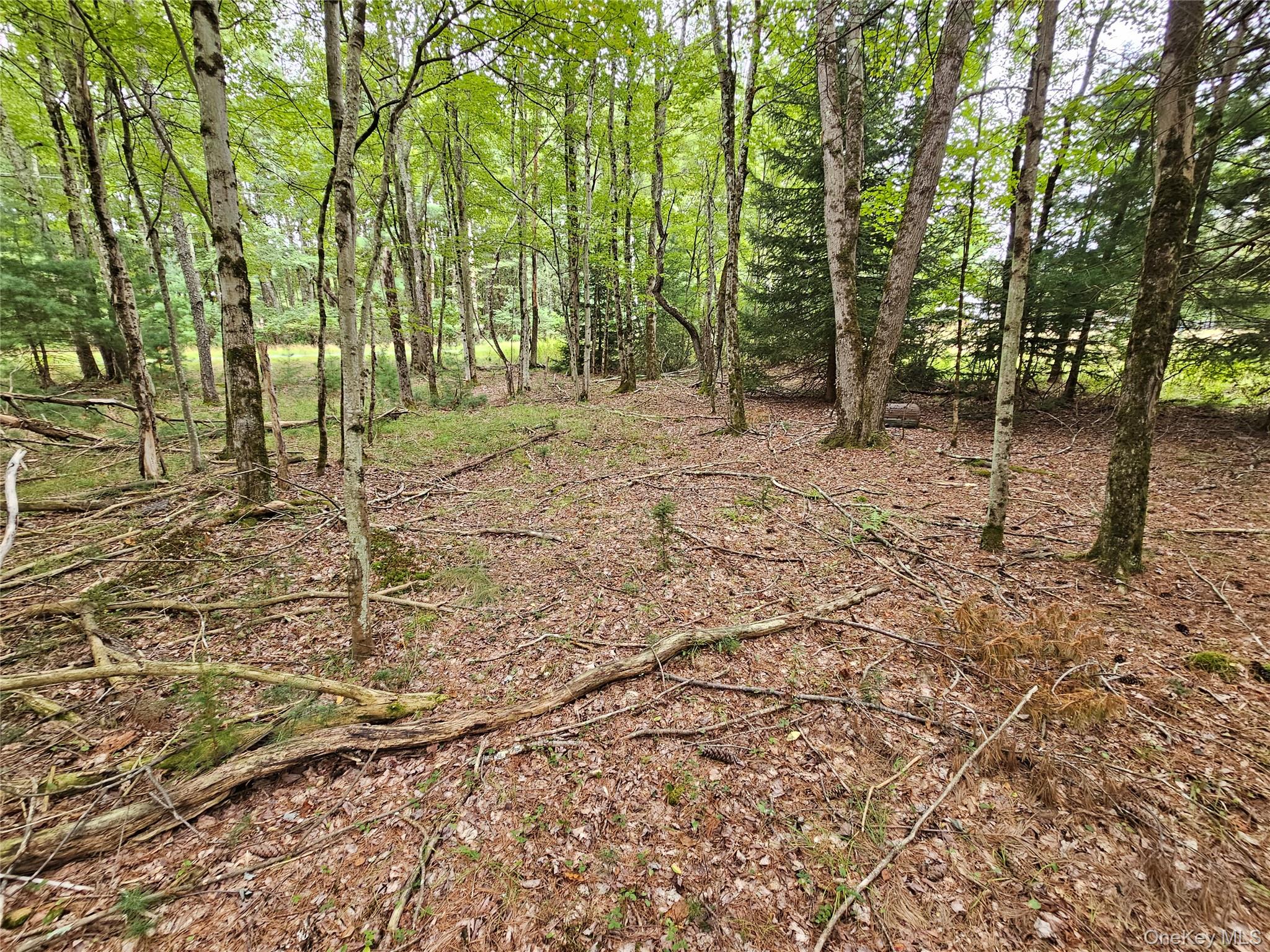 #9 photo, Flower Ave. & State Route 55, Kauneonga Lake , NY 12720