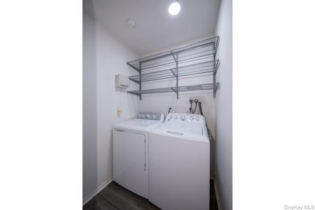 #9 photo, 51 Neal, サフォーク郡 South Setauket , NY 11720