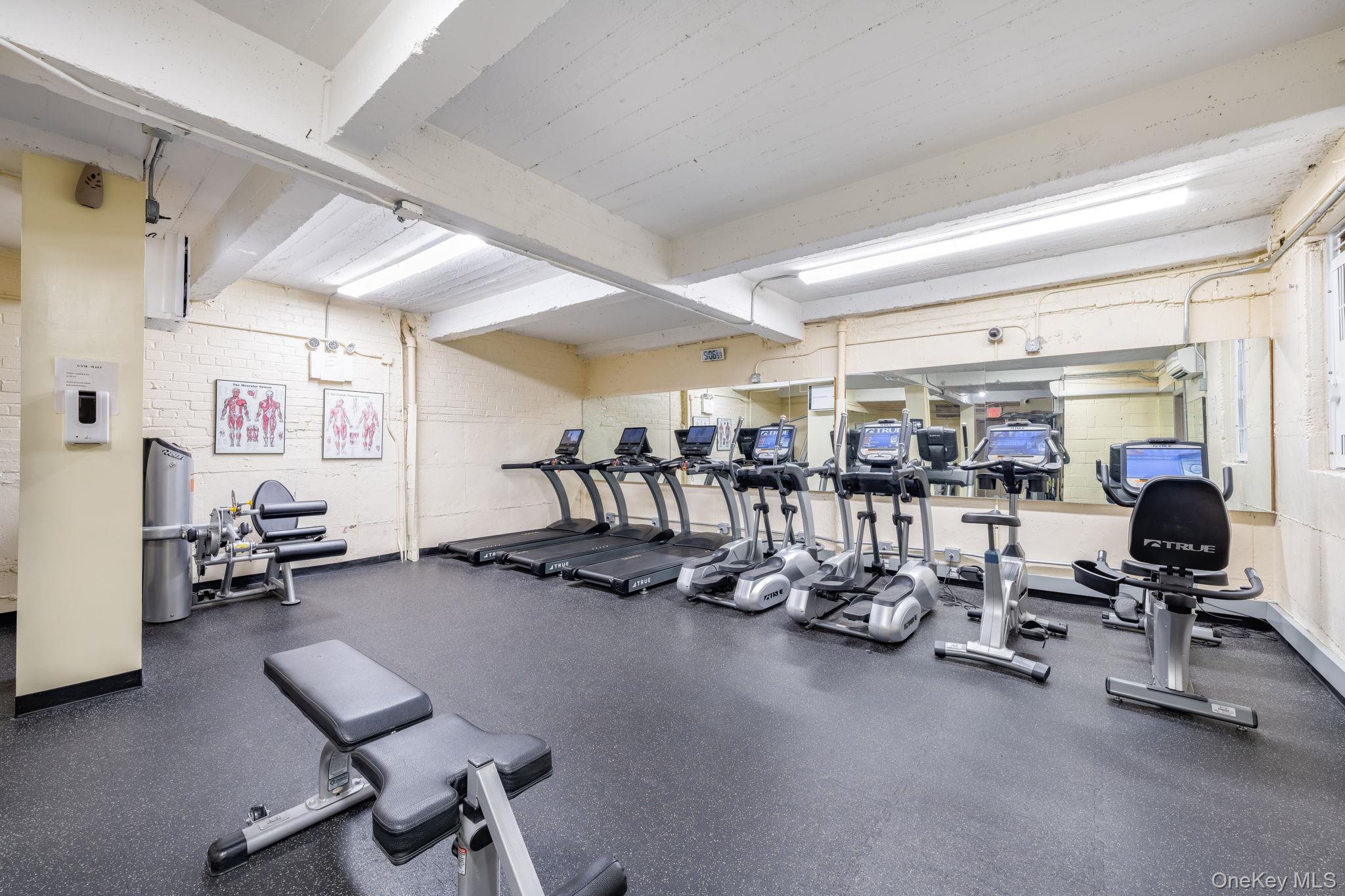 #16 photo, 84-01 Main Street, Briarwood , NY 11435