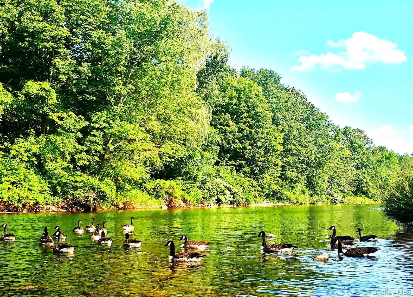 #3 photo, Woodbourne, Woodbourne , NY 12788