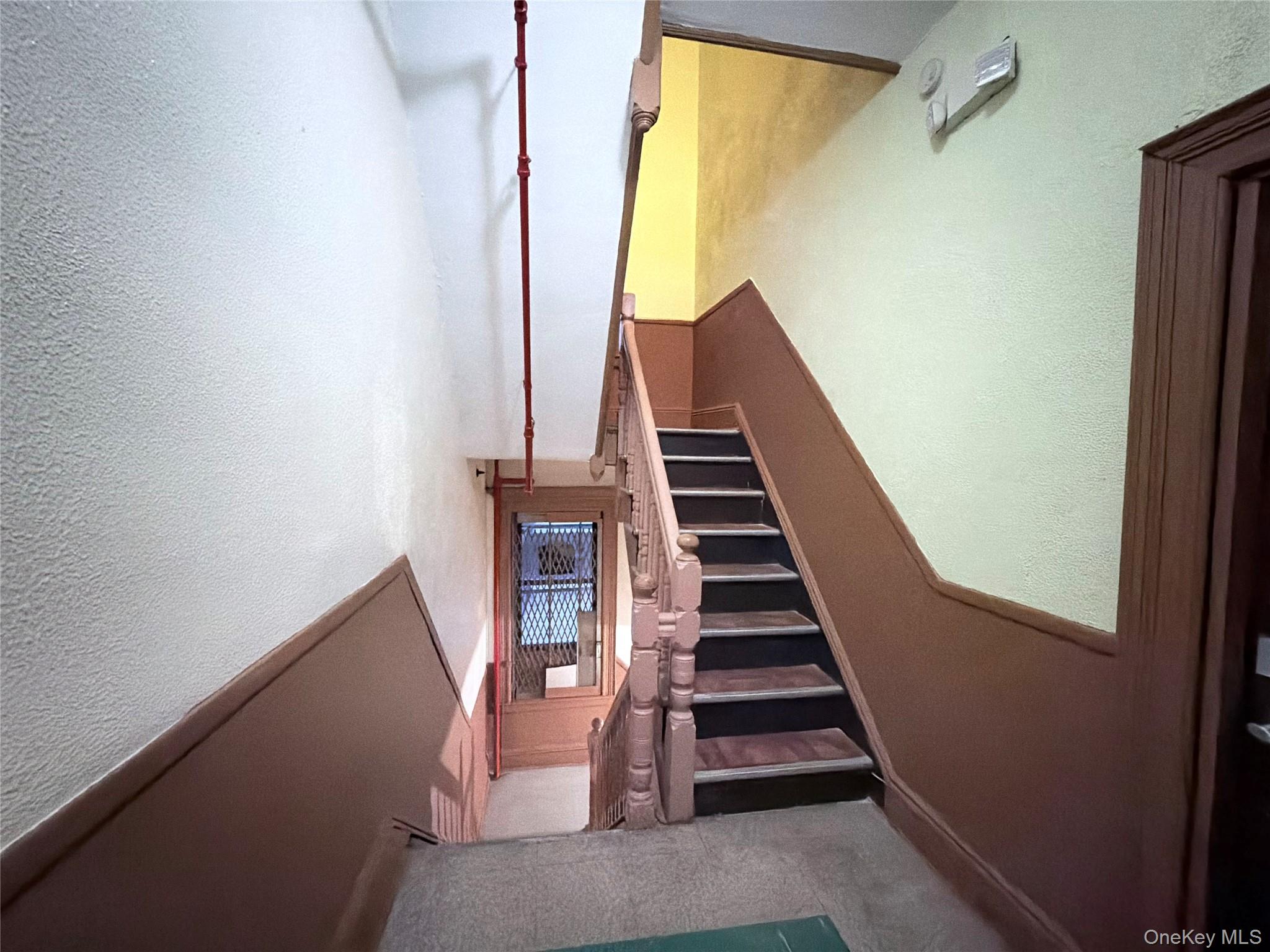 #12 photo, 482 Ridgewood Avenue, Brooklyn , NY 11208