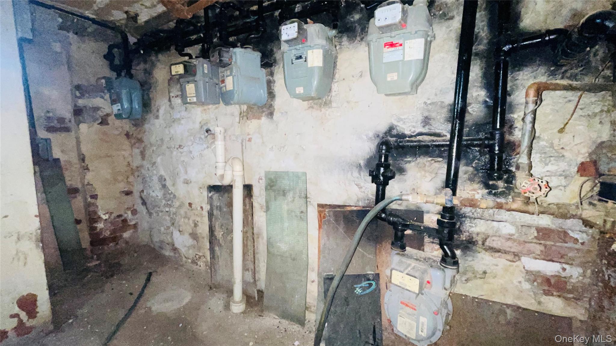 #4 photo, 482 Ridgewood Avenue, ブルックリン区 Brooklyn , NY 11208