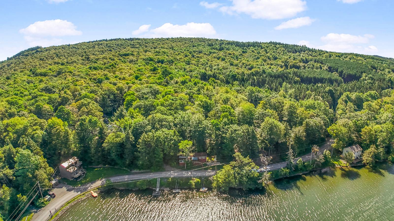 #10 photo, 342 Bear Gulch Rd, Summit , NY 12175