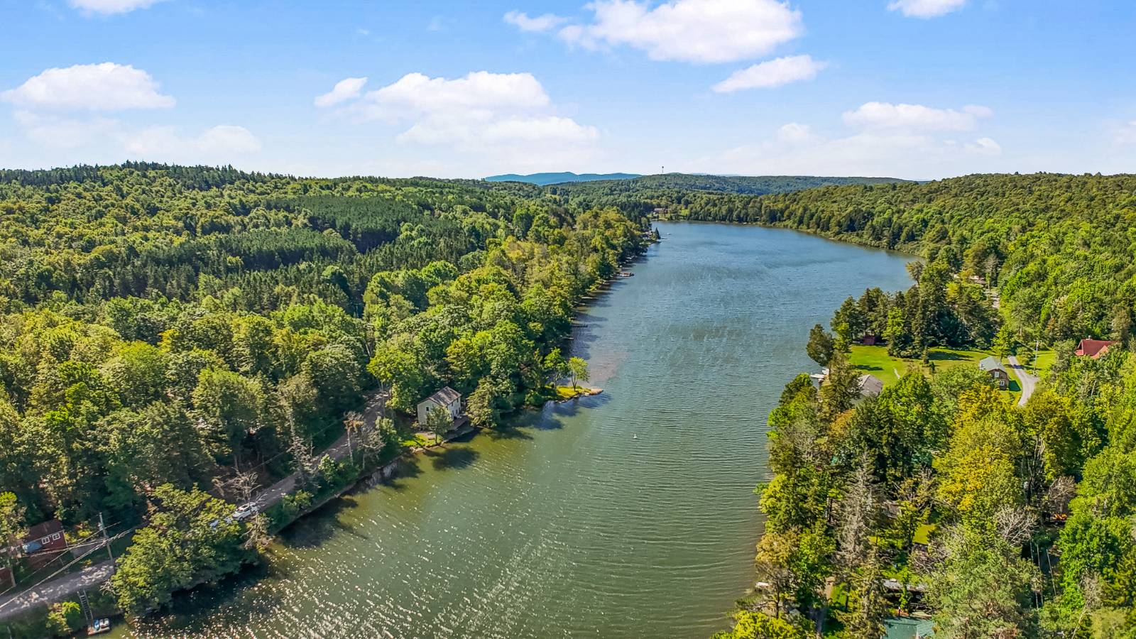 #3 photo, 342 Bear Gulch Rd, Summit , NY 12175