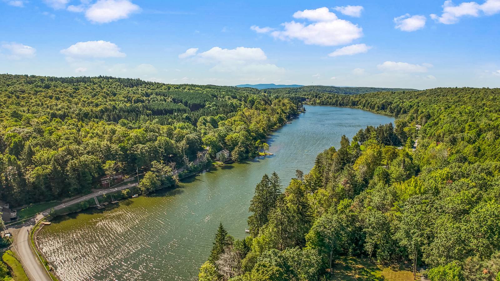 #40 photo, 342 Bear Gulch Rd, Summit , NY 12175