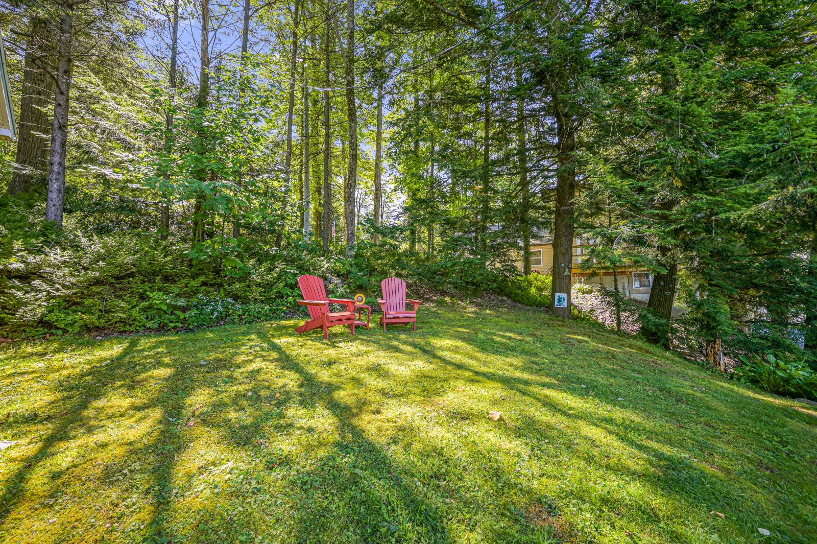 #6 photo, 342 Bear Gulch Rd, Summit , NY 12175