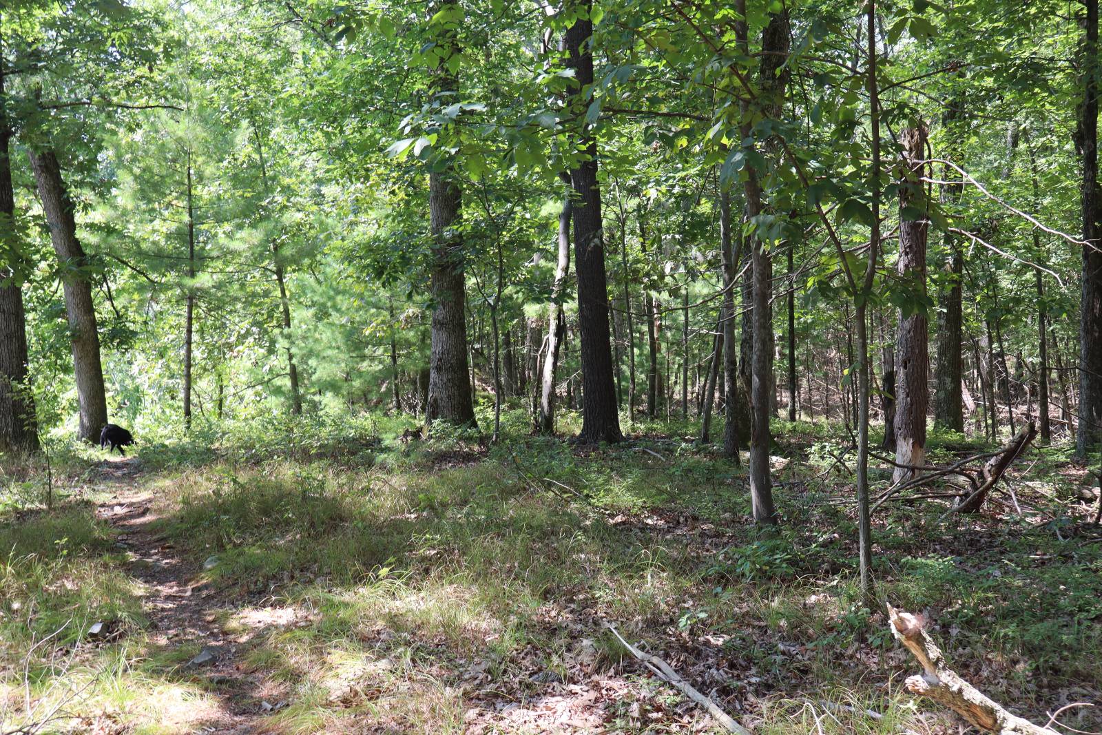 #10 photo, 2050 Sawkill-Ruby Road, Kingston , NY 12401