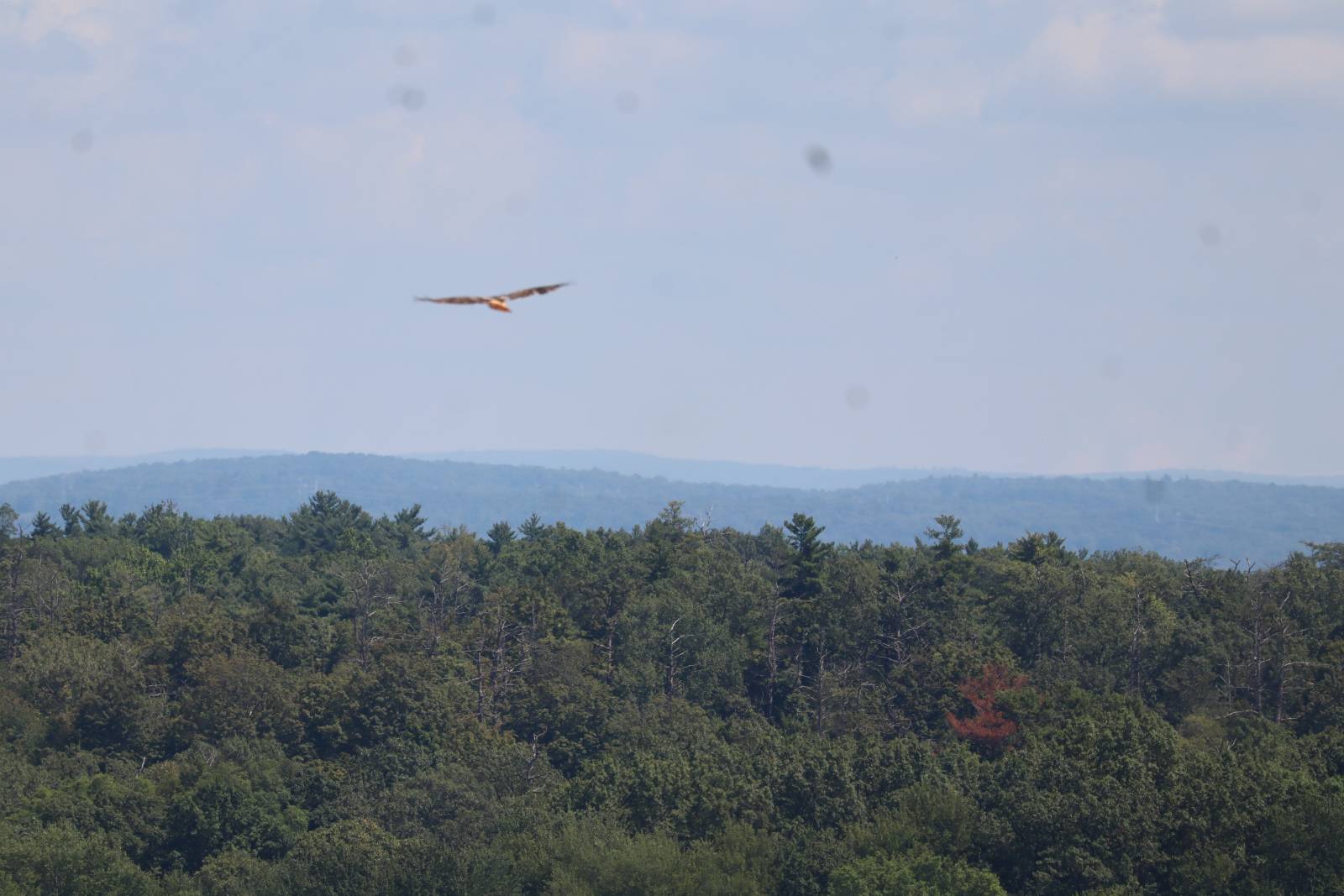 #35 photo, 2050 Sawkill-Ruby Road, Kingston , NY 12401