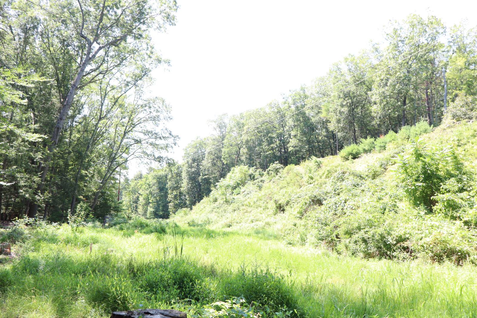 #36 photo, 2050 Sawkill-Ruby Road, Kingston , NY 12401