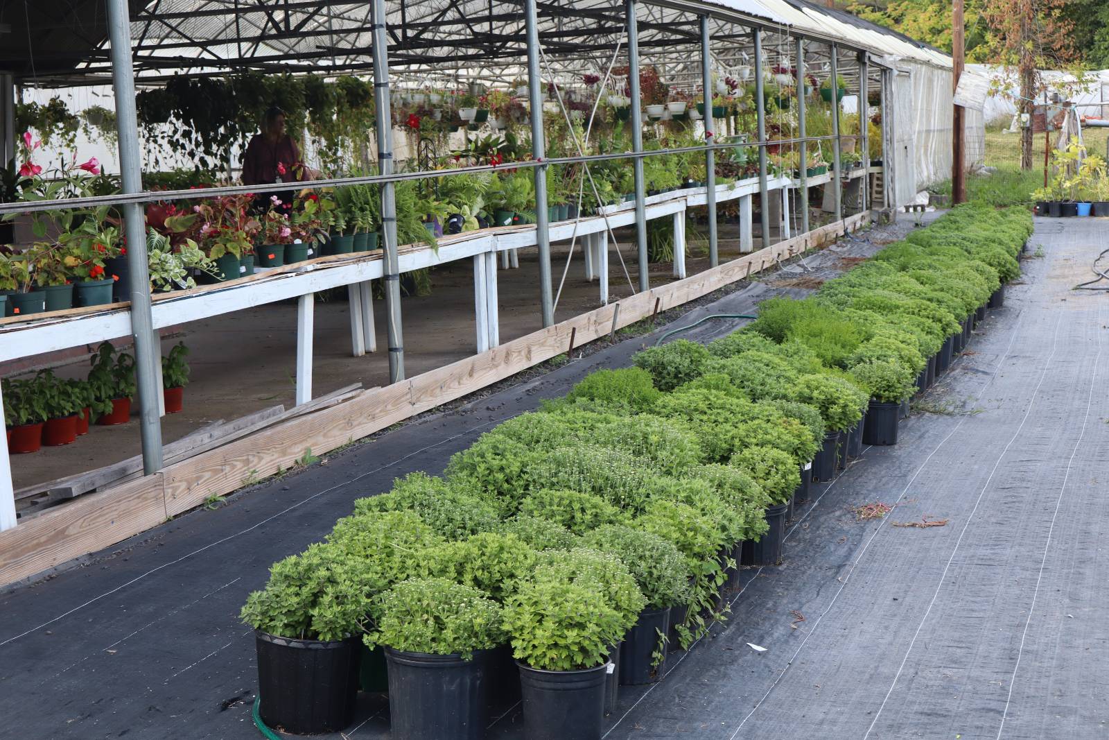 #44 photo, 2050 Sawkill-Ruby Road, Kingston , NY 12401