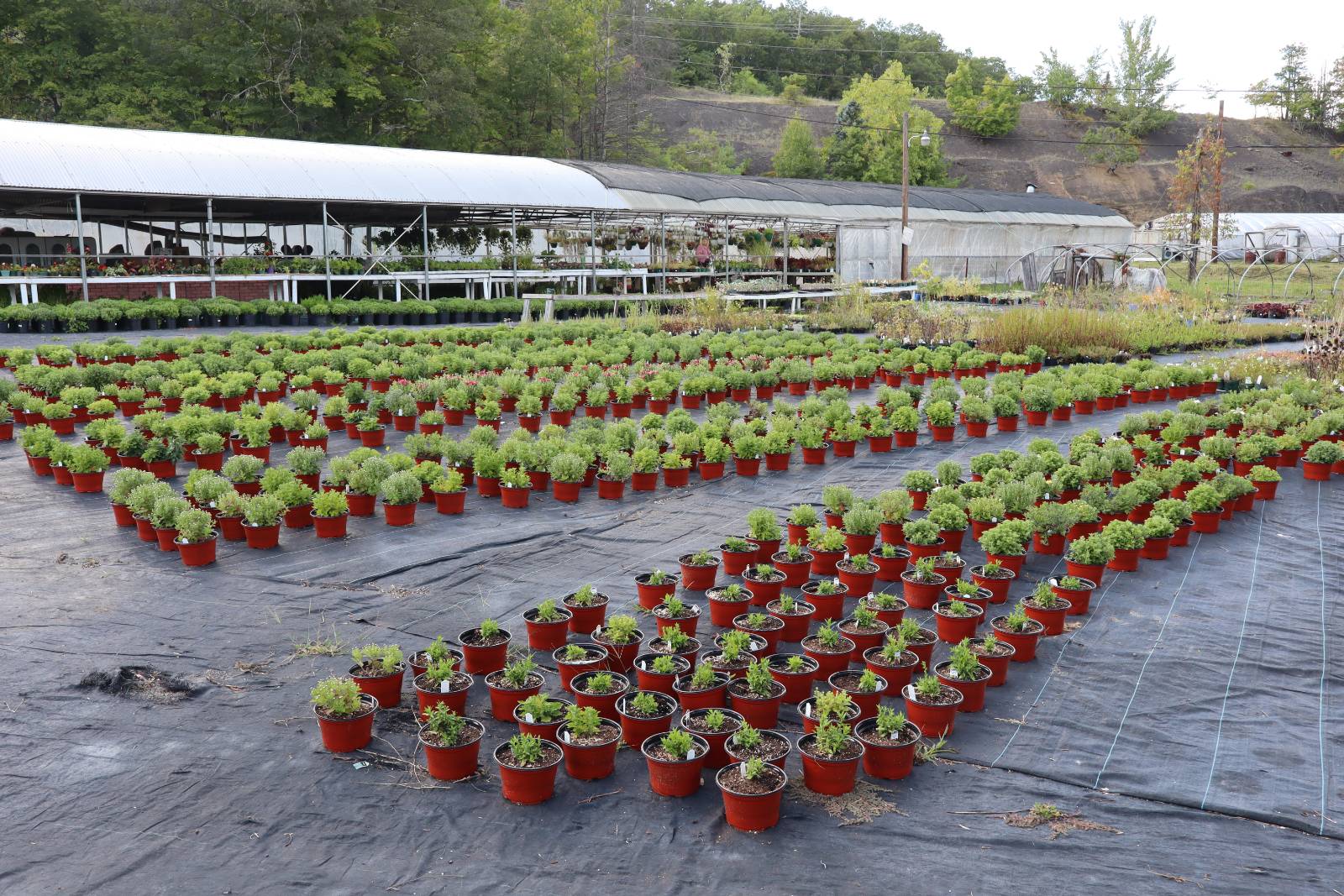 #45 photo, 2050 Sawkill-Ruby Road, Kingston , NY 12401