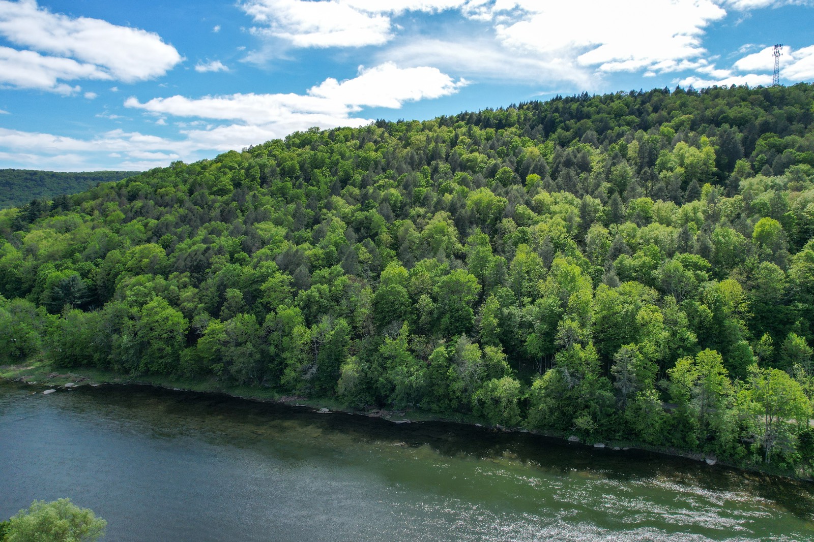 #11 photo, 0 Perkins Rd, Hancock , NY 13783