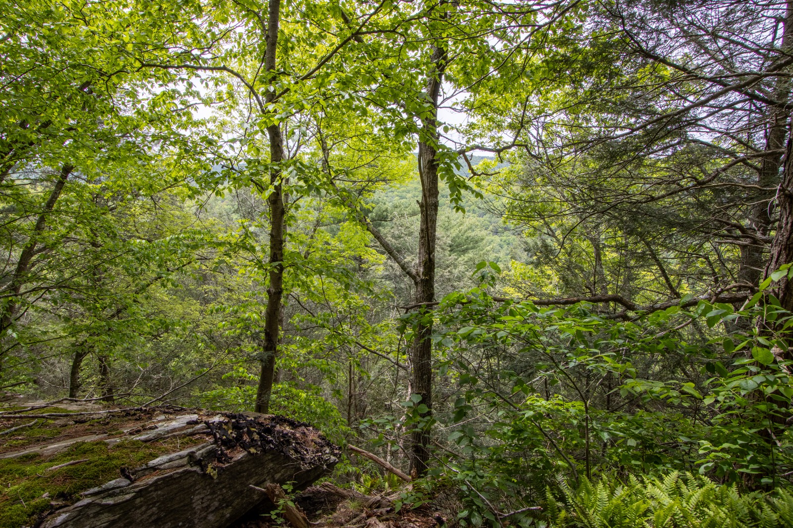 #15 photo, 0 Perkins Rd, Hancock , NY 13783