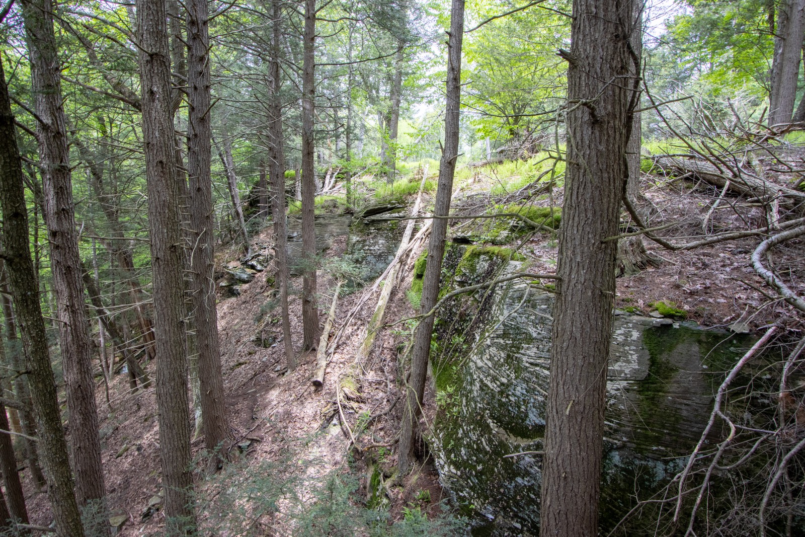 #16 photo, 0 Perkins Rd, Hancock , NY 13783