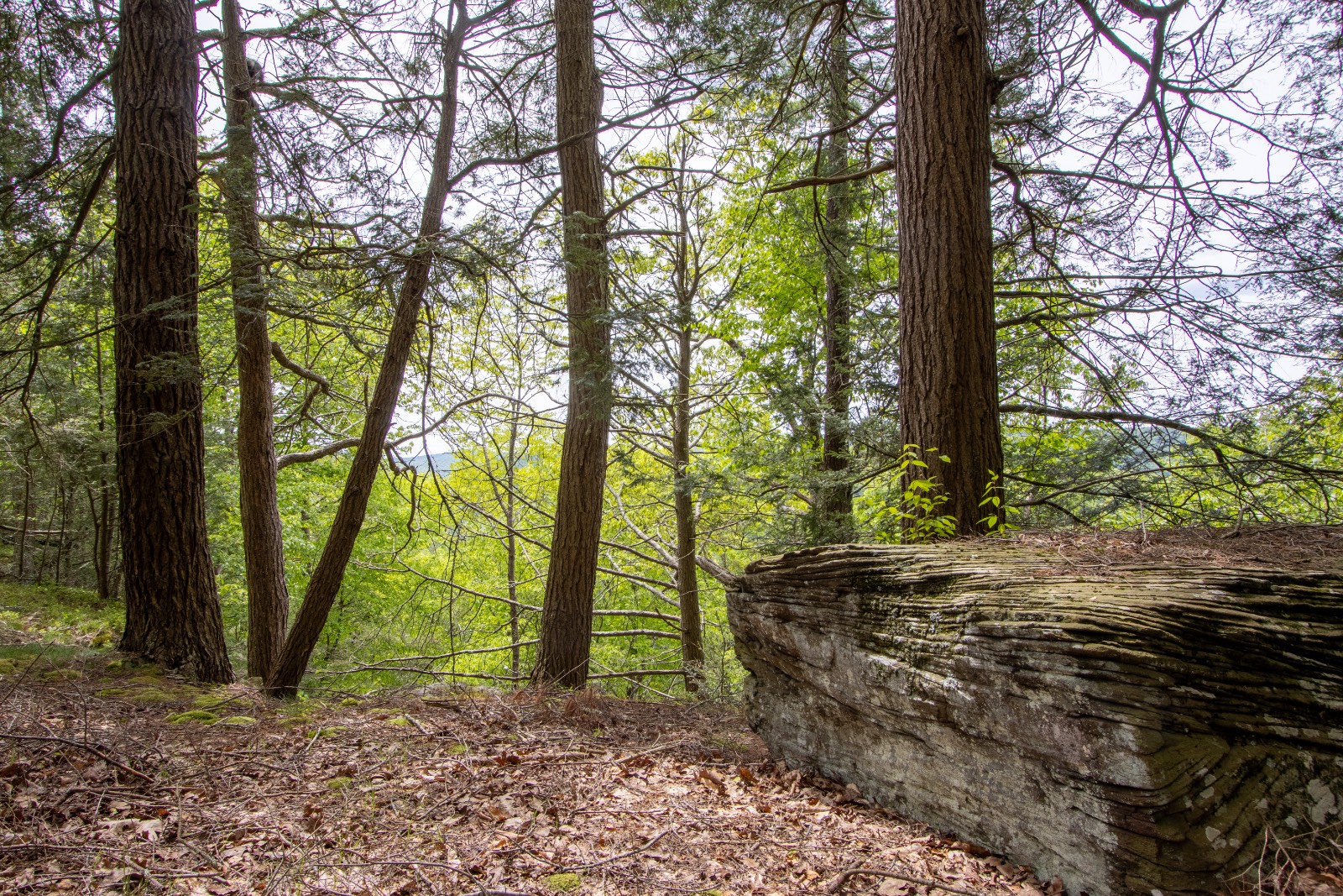 #17 photo, 0 Perkins Rd, Hancock , NY 13783