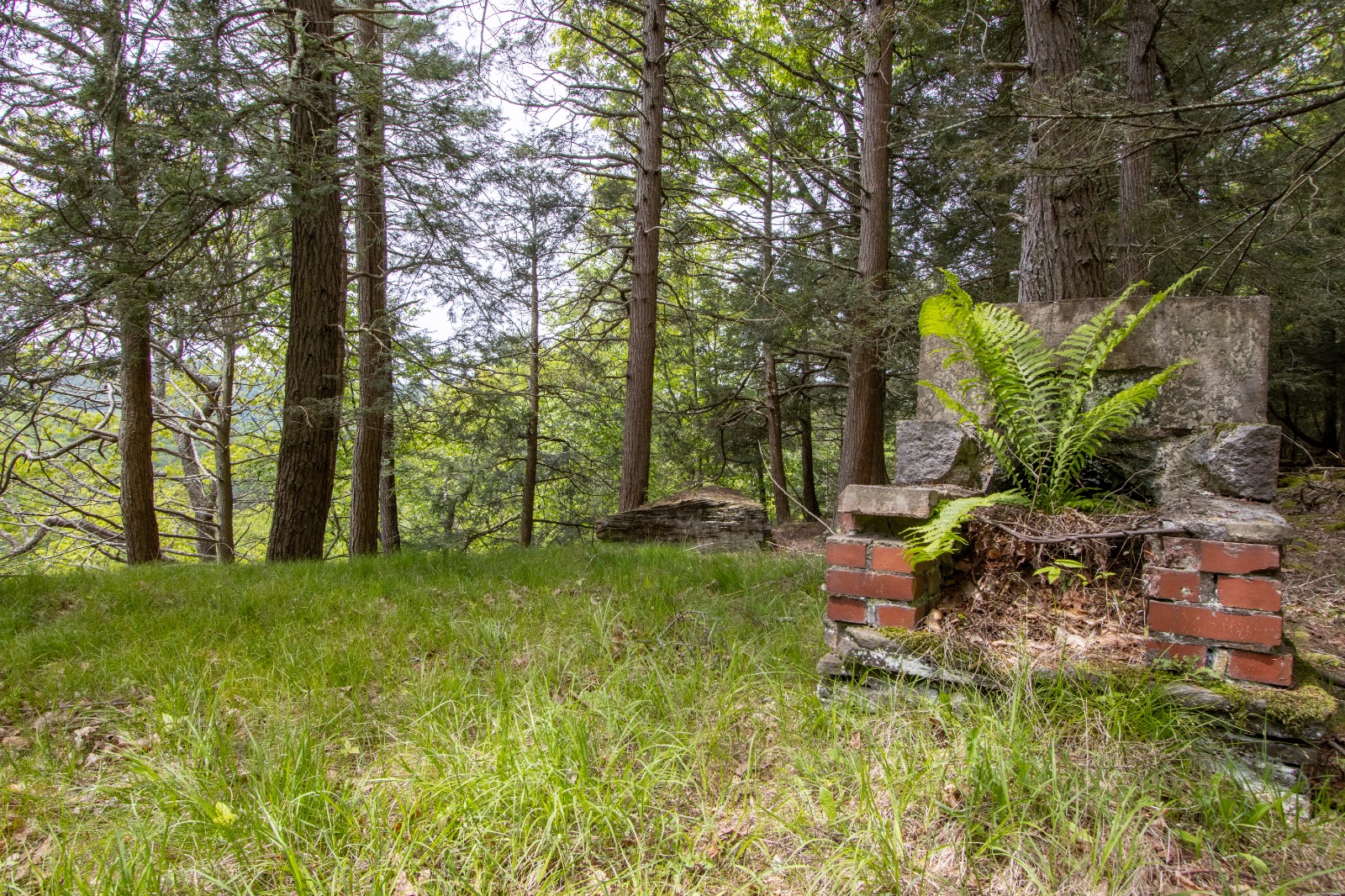 #18 photo, 0 Perkins Rd, Hancock , NY 13783