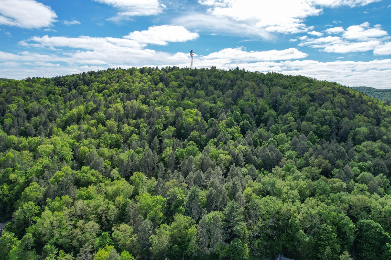 #9 photo, 0 Perkins Rd, Hancock , NY 13783