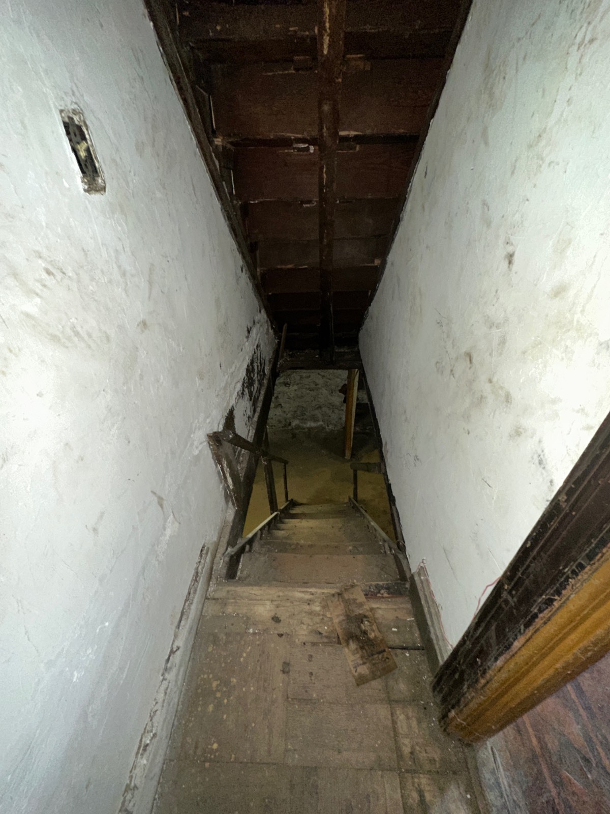 #24 photo, 202 E. 35th Street, Бруклин ‖ Little Haiti , NY 11203