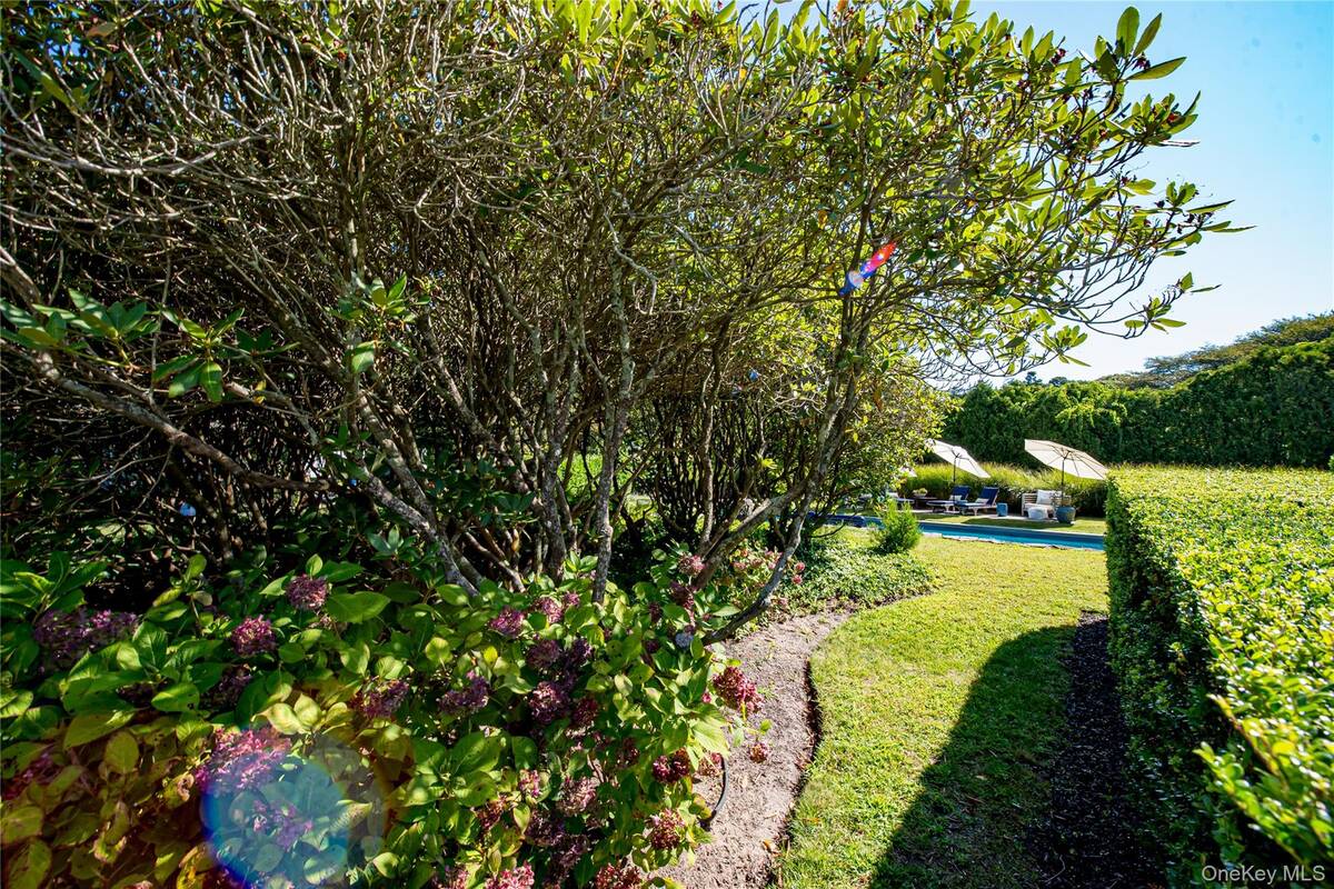 #38 photo, 56 Shinnecock Hills Road, サフォーク郡 Southampton , NY 11968