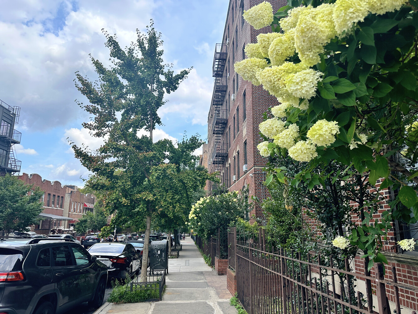 #2 photo, 1710 CARROLL Street, ブルックリン区 Weeksville , NY 11213