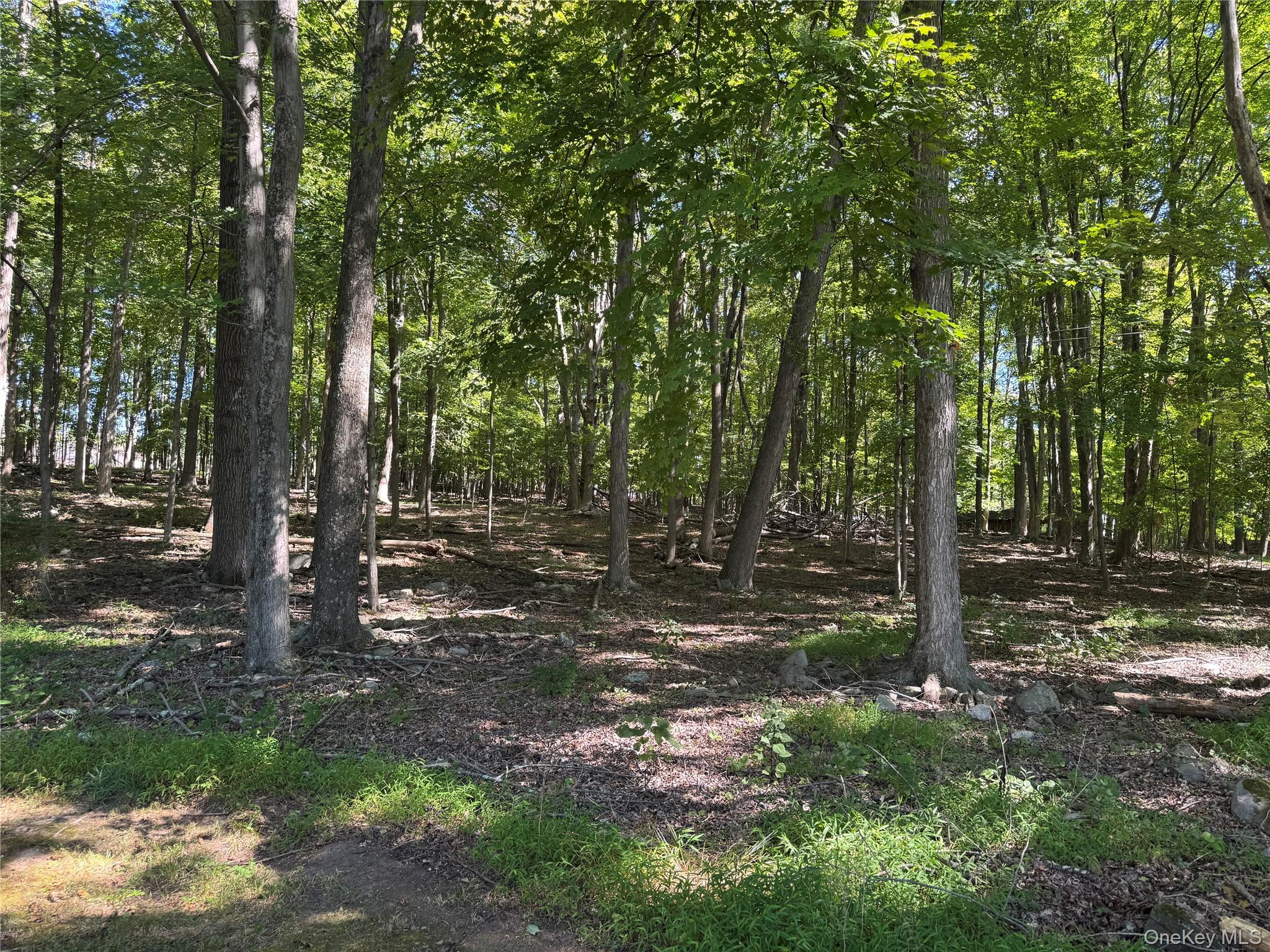 #17 photo, 408 County Route 22, Middletown , NY 10940