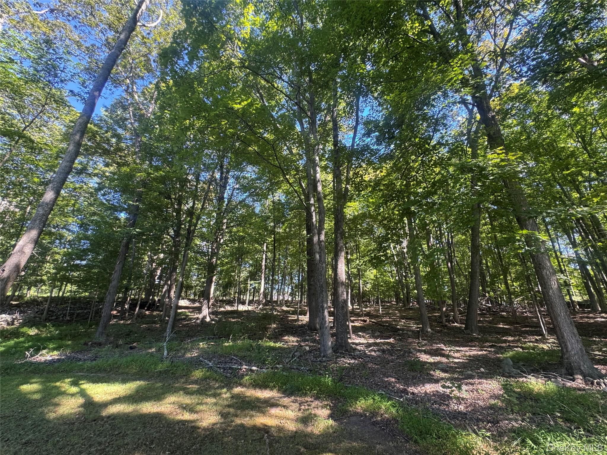 #18 photo, 408 County Route 22, Middletown , NY 10940