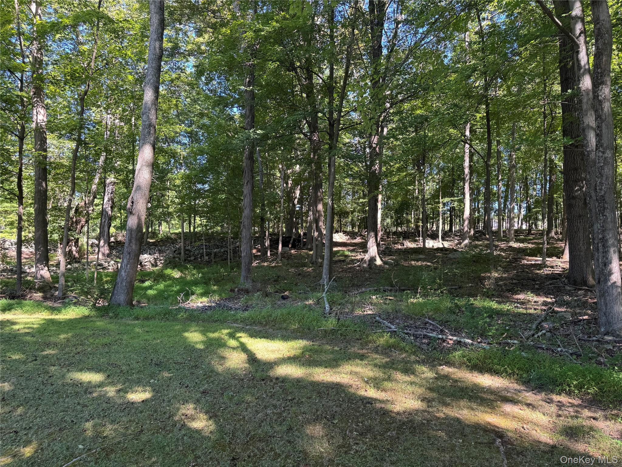 #19 photo, 408 County Route 22, Middletown , NY 10940