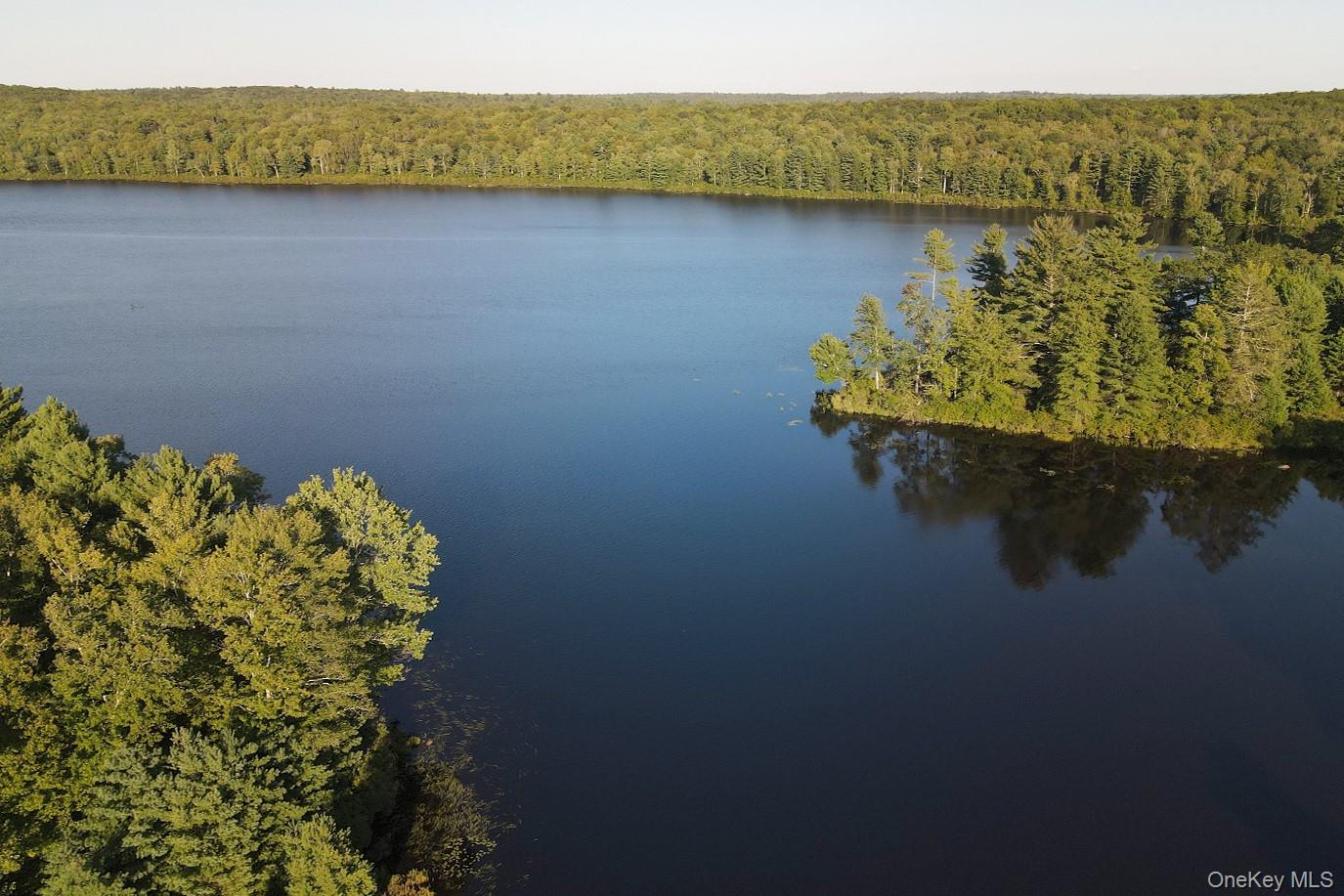 #2 photo, 2 Lena Road, Forestburgh , NY 