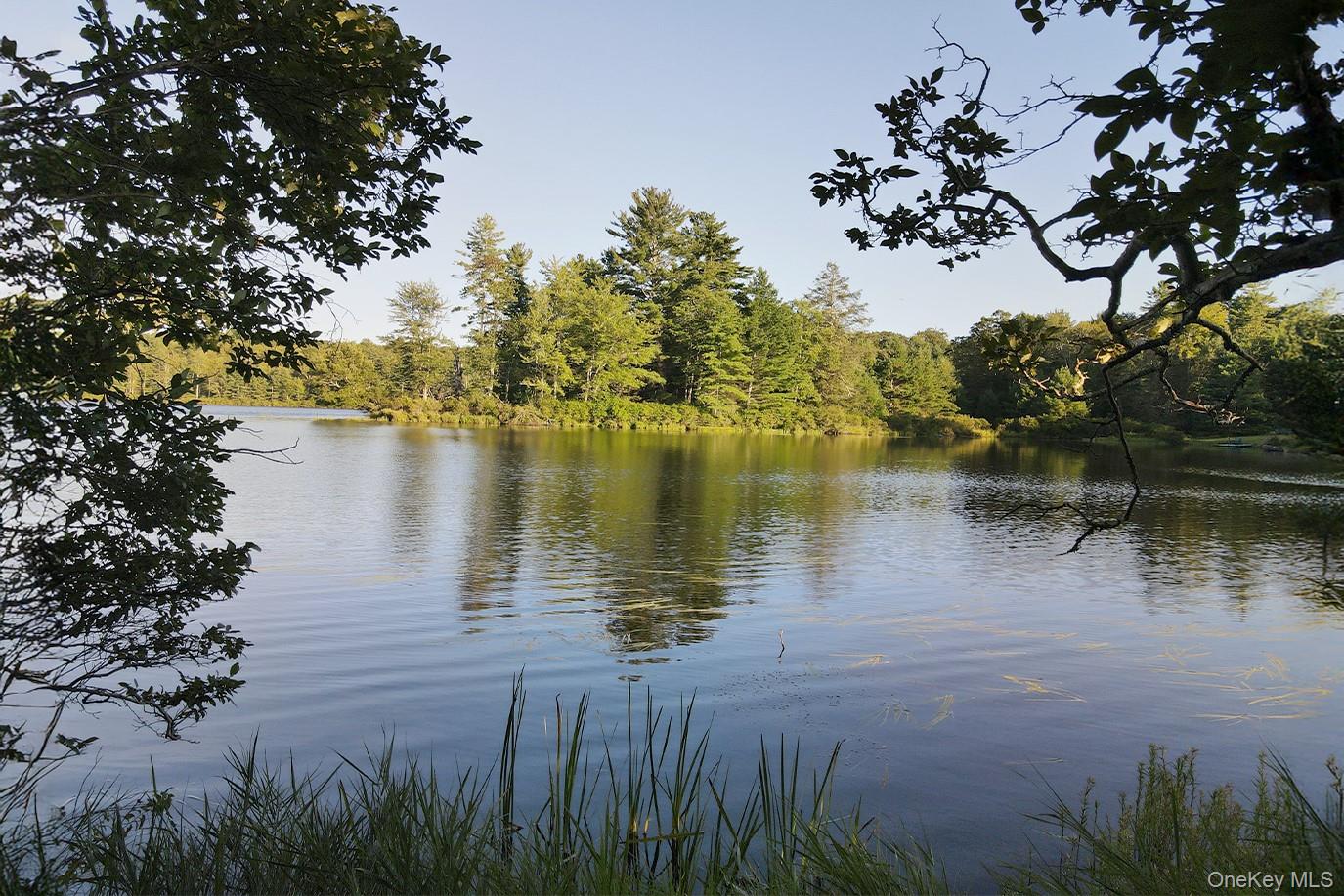 #4 photo, 2 Lena Road, Forestburgh , NY 