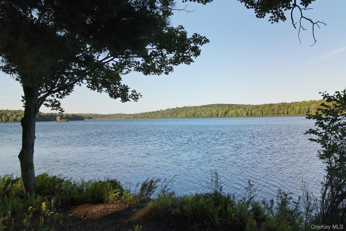 #6 photo, 2 Lena Road, Forestburgh , NY 