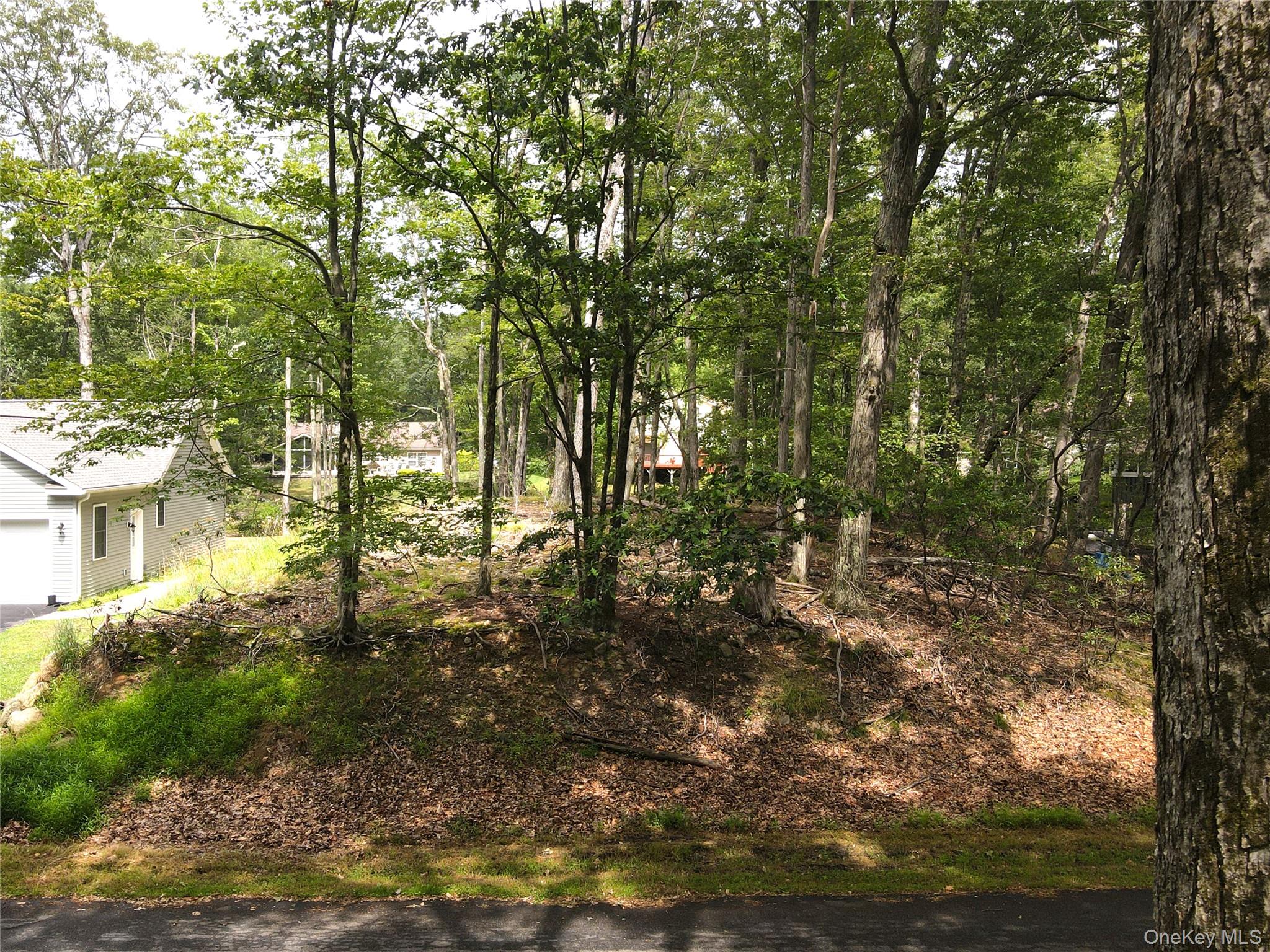 #3 photo, 32 Pond Lane, Rock Hill , NY 12775