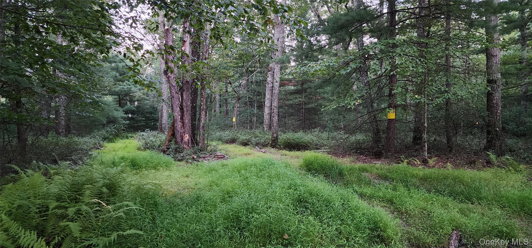 #1 photo, 3 Mountain Top Lane, Huguenot , NY 12746