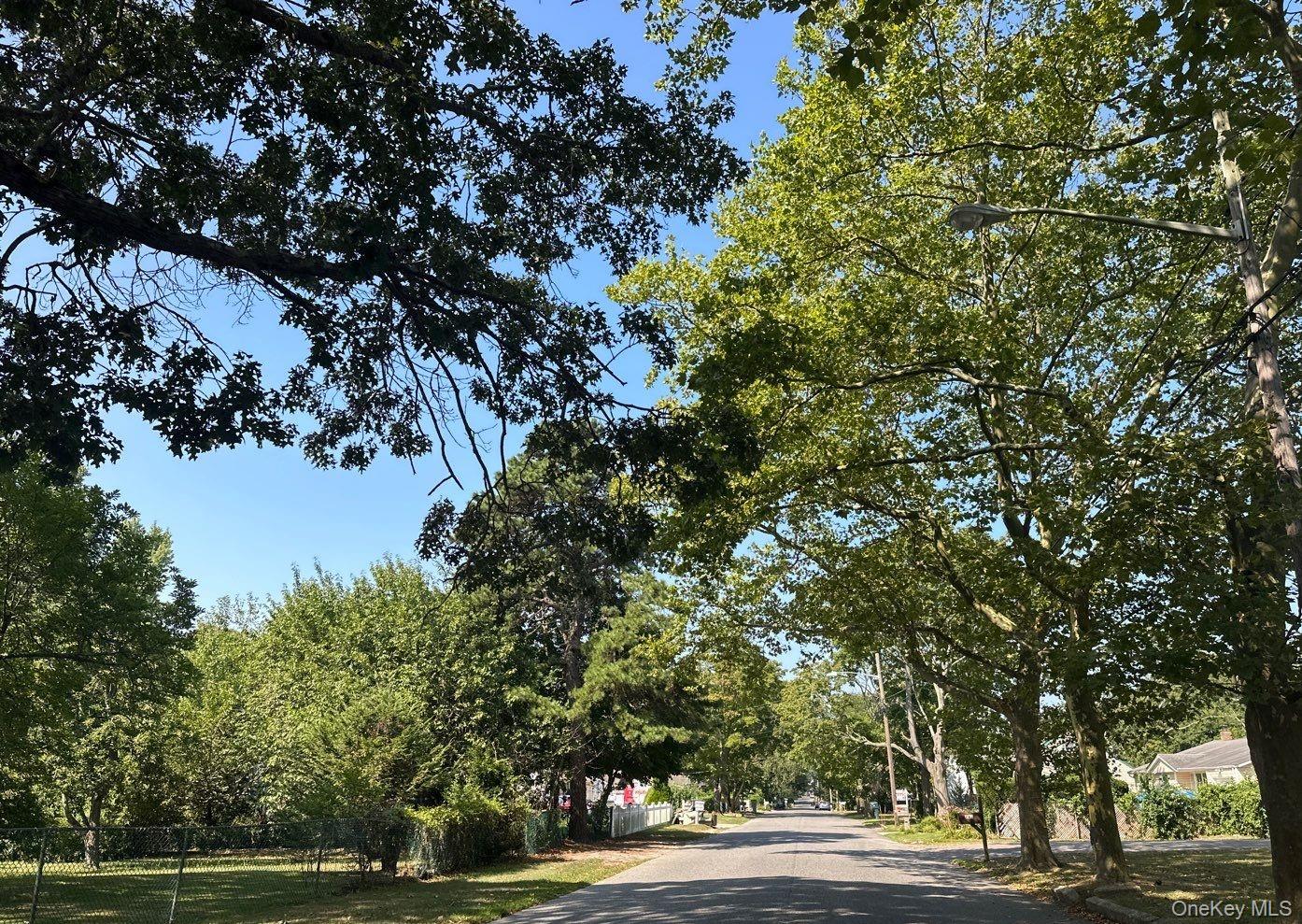 #4 photo, 239 Ocean Avenue, サフォーク郡 Brentwood , NY 11717