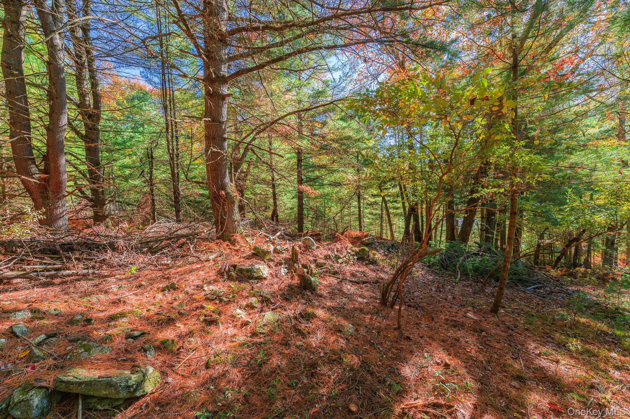 #7 photo, 988 County Route 31, Glen Spey , NY 12737