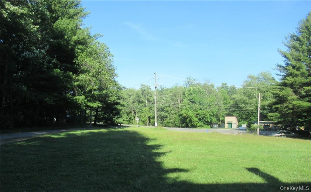 #10 photo, 3635 State Route 55, Bethel , NY 12720