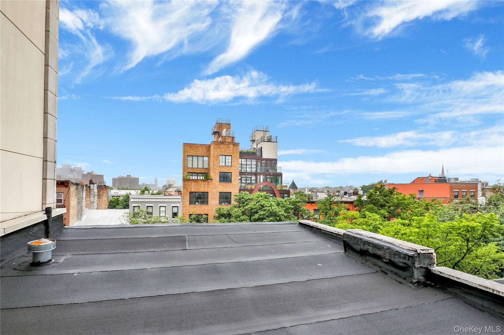 #16 photo, 329 Atlantic Avenue, ブルックリン区 Brooklyn , NY 11201