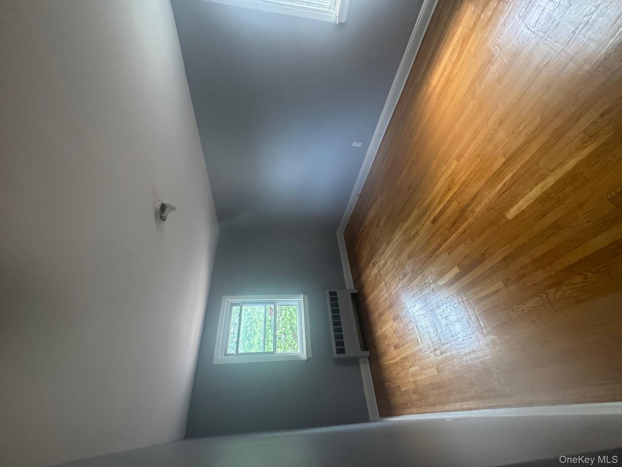 #17 photo, 2339 Barnes Avenue, ブロンクス区 Bronx , NY 10467