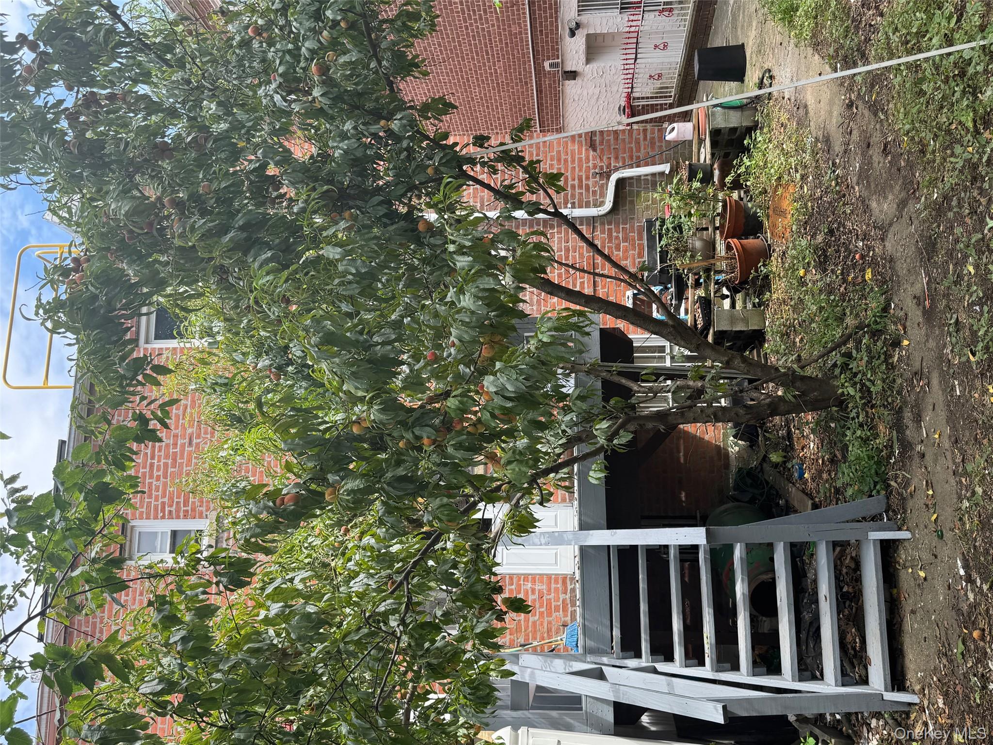 #4 photo, 2339 Barnes Avenue, ブロンクス区 Bronx , NY 10467