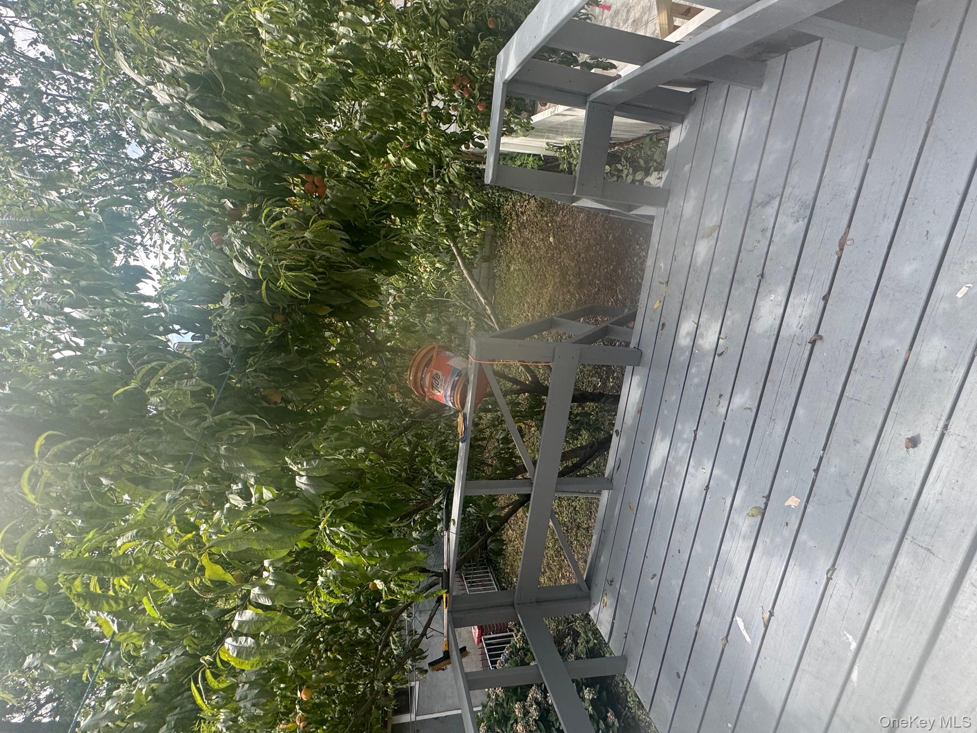 #8 photo, 2339 Barnes Avenue, ブロンクス区 Bronx , NY 10467