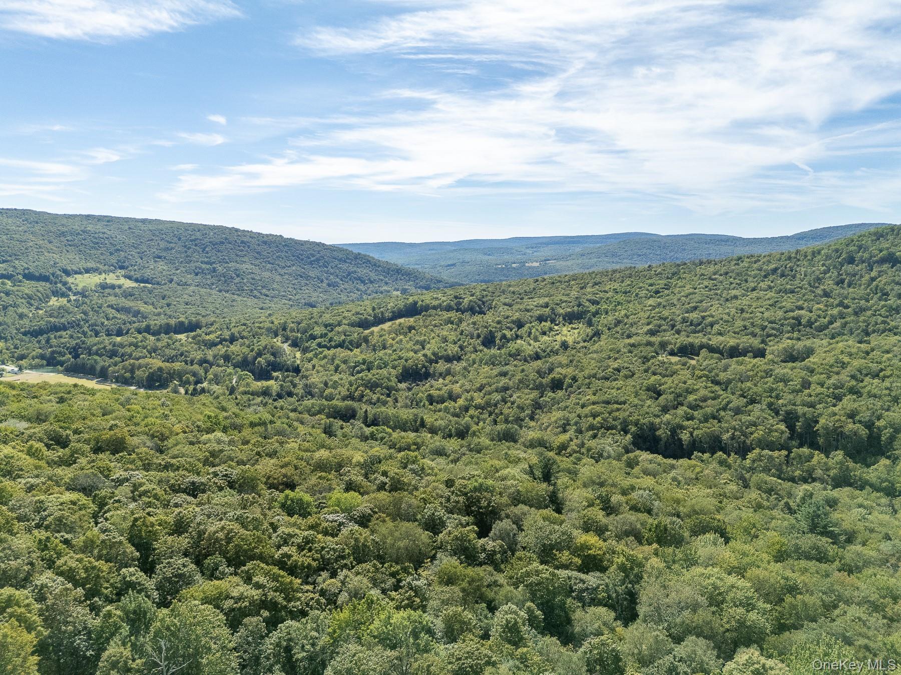 #14 photo, 60 Alder Creek Road, Livingston Manor , NY 12758