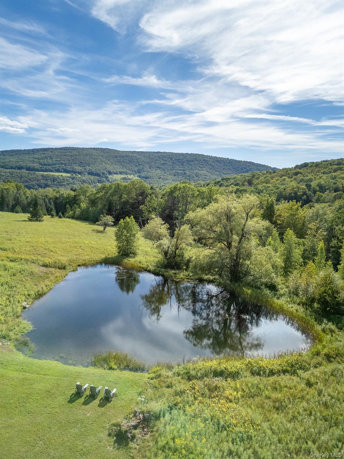 #15 photo, 60 Alder Creek Road, Livingston Manor , NY 12758