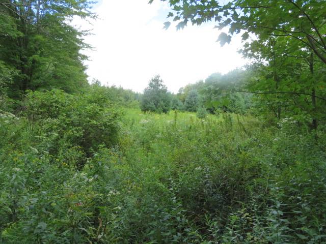 #2 photo, 19 Goose Point Rd, Camden , NY 13316
