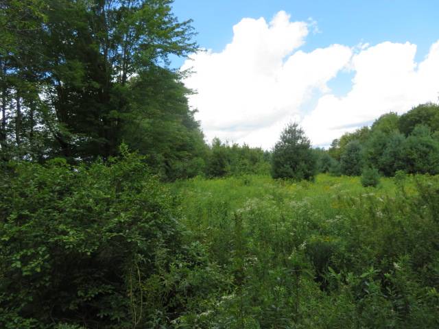 #3 photo, 19 Goose Point Rd, Camden , NY 13316