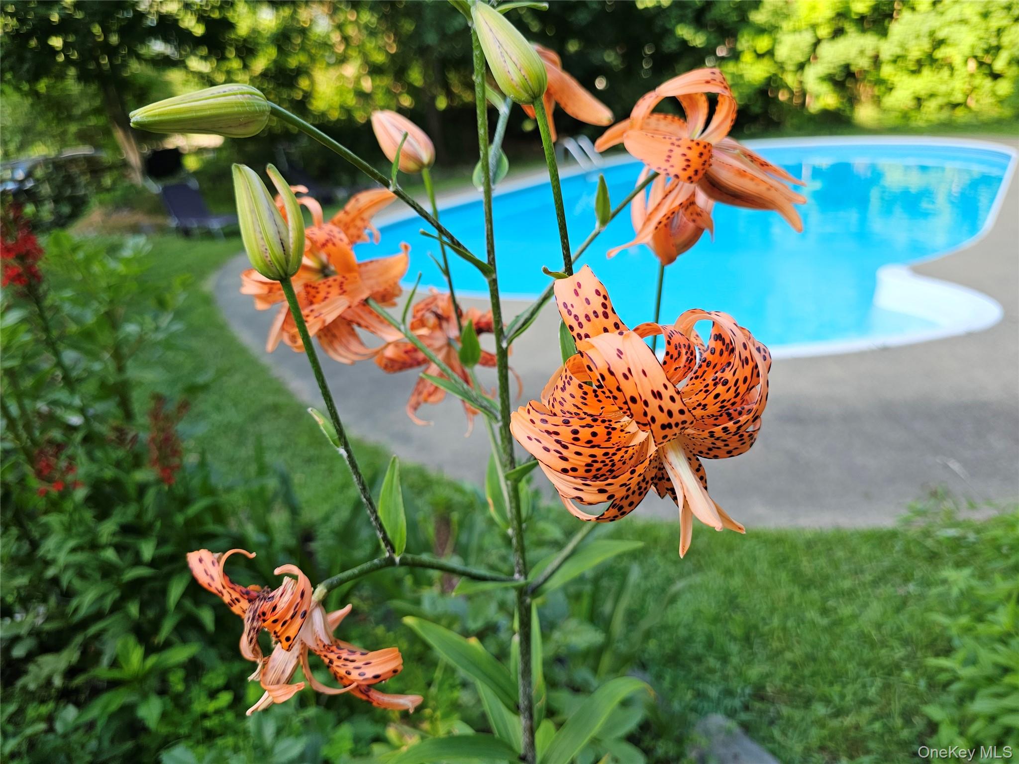 #5 photo, 597 Route 212, Saugerties , NY 12477