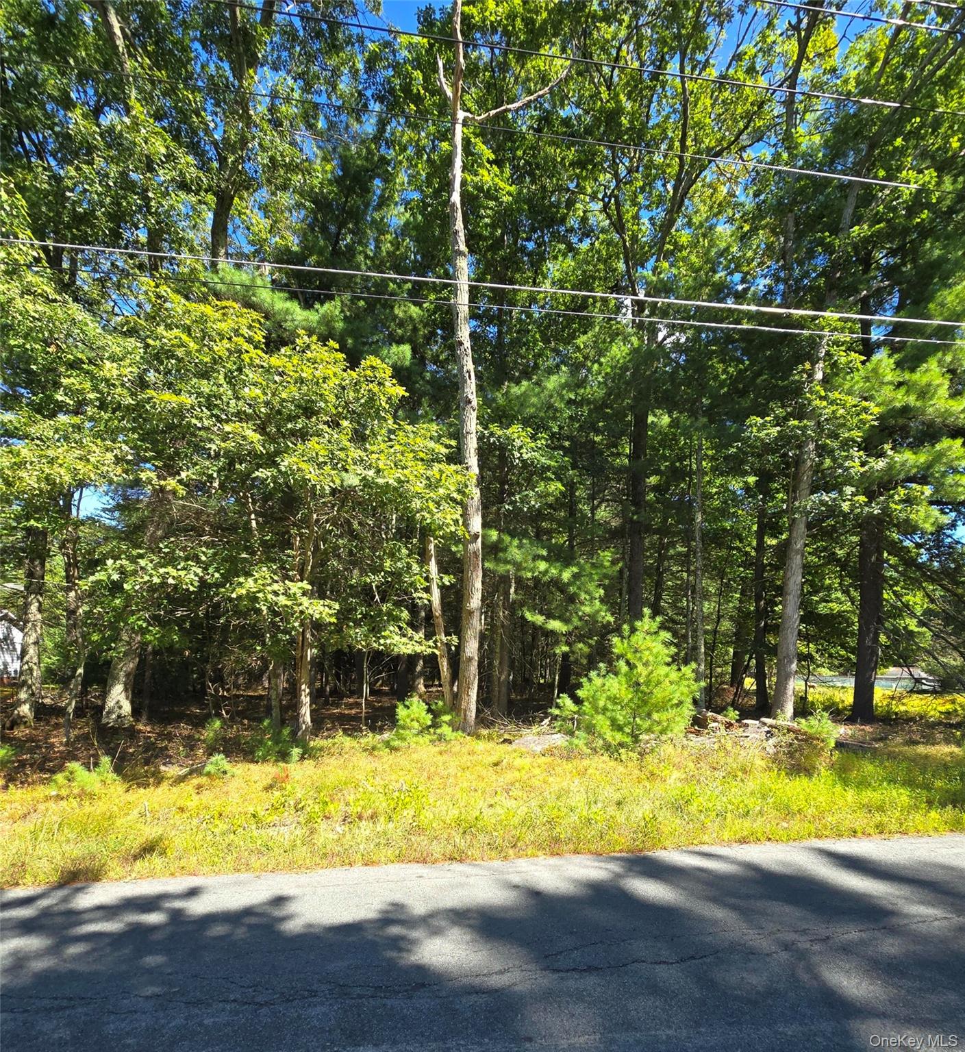 #1 photo, White Road, Glen Spey , NY 12737