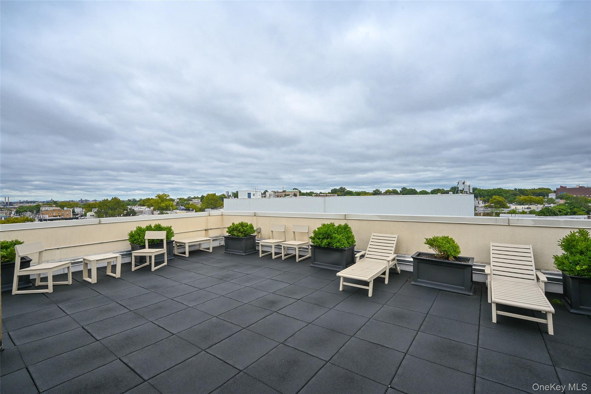 #15 photo, 6334 Fresh Pond Road, クイーンズ区 Ridgewood , NY 11385