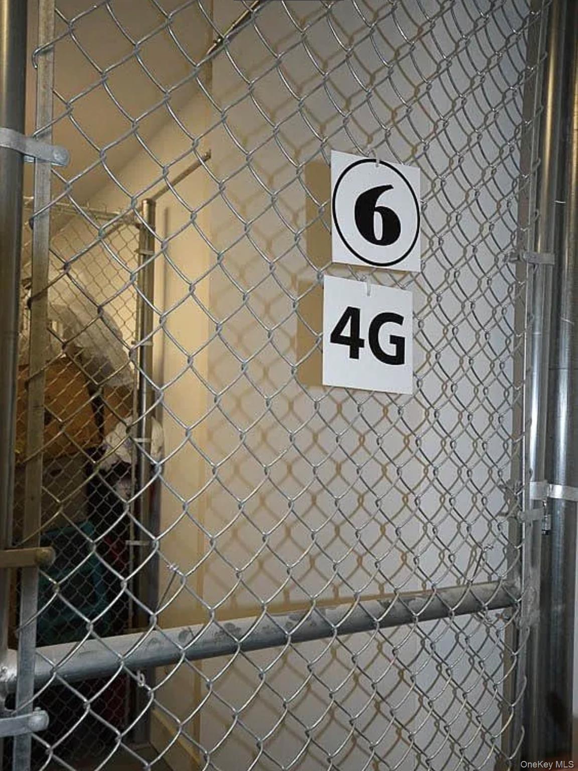 #19 photo, 6334 Fresh Pond Road, クイーンズ区 Ridgewood , NY 11385