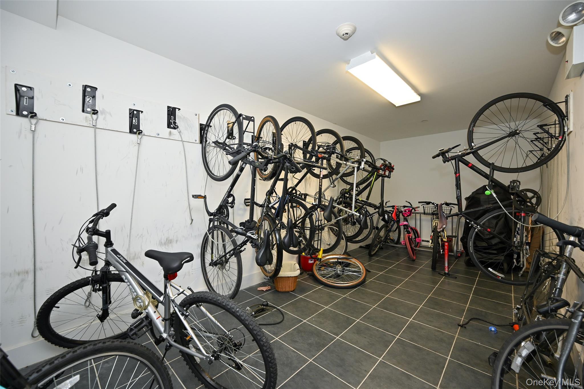 #20 photo, 6334 Fresh Pond Road, クイーンズ区 Ridgewood , NY 11385