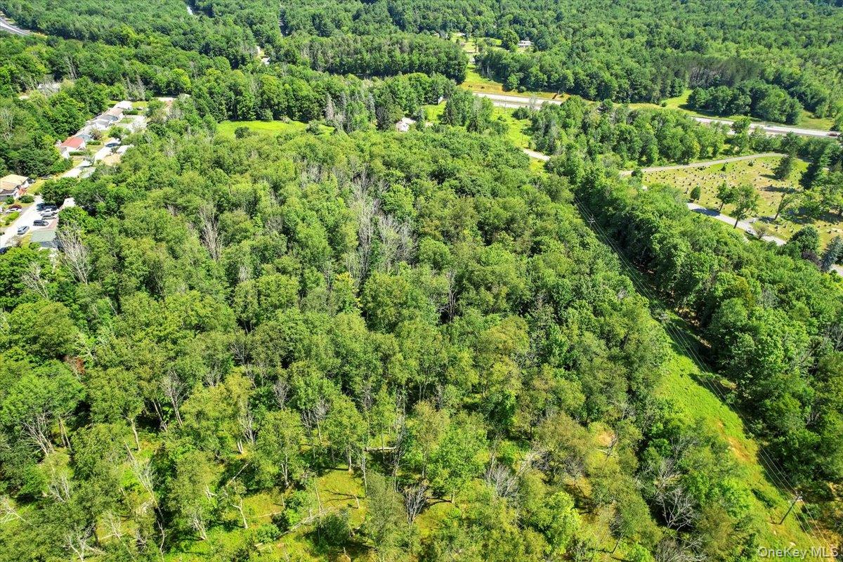 #16 photo, 132 Rock Ridge Avenue, Monticello , NY 12701